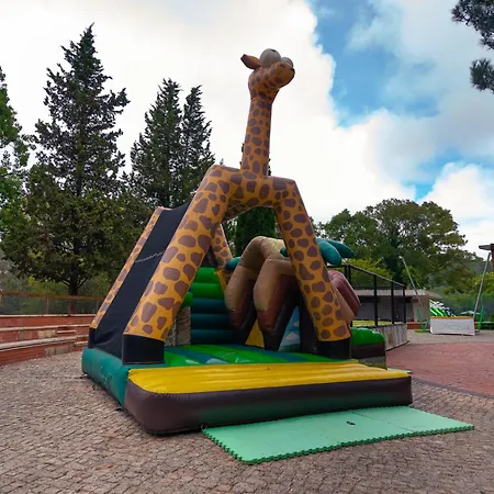 Kampaoh Lüks kamp alanı *