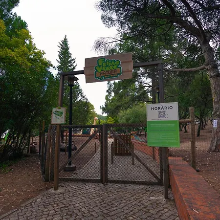 Kampaoh Lisbona