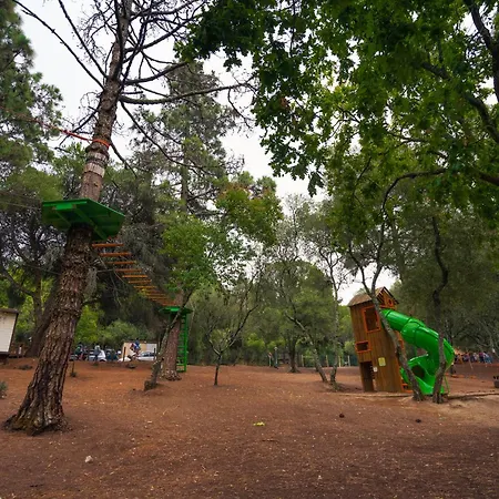 Kampaoh Lisbona